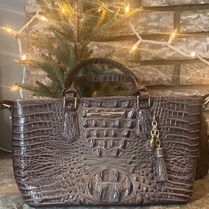 Brahmin Mini Asher